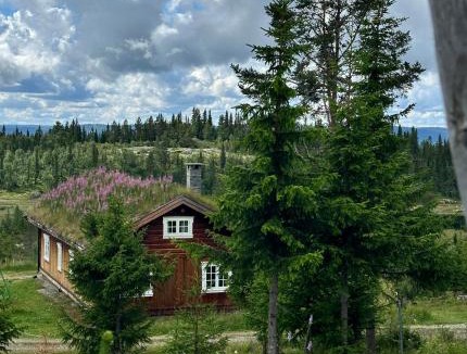 Gol Municipality House | Løstegård hytter at the top of Golsfjellet