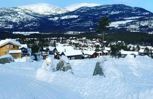 Kviteseid Ski Chalet | Laftet hytte i strandkanten med bade og fiske muligheter