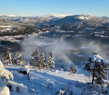 Kviteseid Ski Chalet | Laftet hytte i strandkanten med bade og fiske muligheter