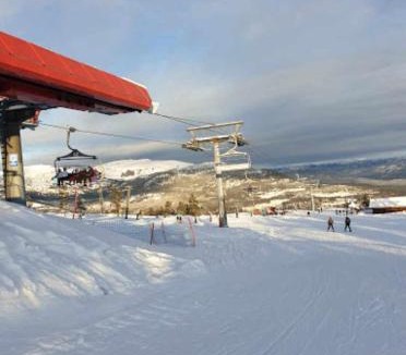 Kviteseid Ski Chalet | Laftet hytte i strandkanten med bade og fiske muligheter