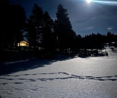 Rindal House | Large and beautiful cabin