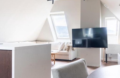 Bergen City Centre Apartment | Large apartment in historical street