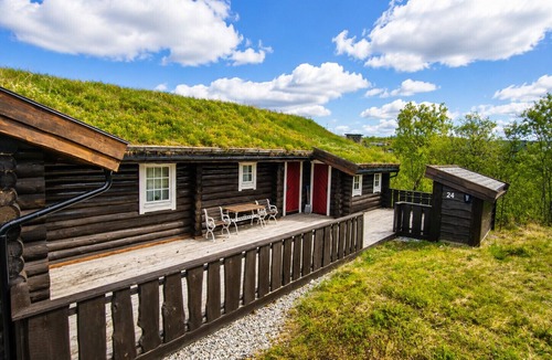 Hol Municipality Cottage | Large, cozy, and spacious cabin in Geilo