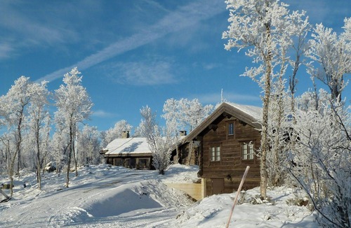 Al Municipality House | Large log cabin, ski fun near Dagali