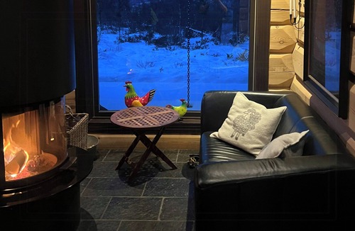 Al Municipality House | Large log cabin, ski fun near Dagali