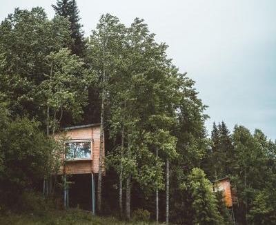 Tangen Villa | LAUV Tretopphytter