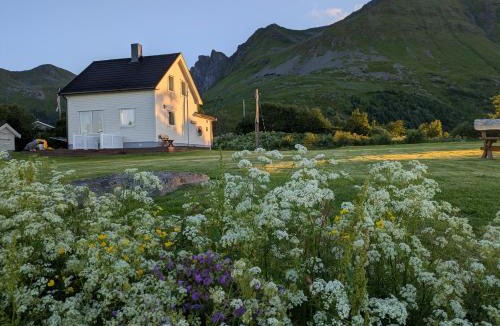 Vestvagøy House | Lauvåsstua-Charming house by the sea