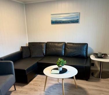 Lillehammer Apartment | Leilighet i under etasje