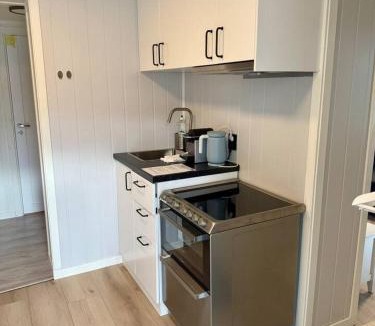 Lillehammer Apartment | Leilighet i under etasje