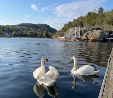 Porsgrunn Apartment | Leilighet ved sjøen med strand til leie - Juli måned