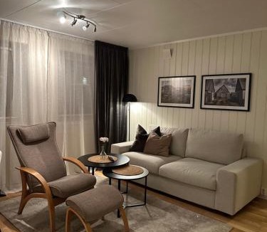Tromsdalen Apartment | Leiligheten