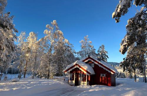 Tokke Ski Chalet | Lie Hytteutleige -Gjestegård - Thor Fine Art 3 hytte enheter