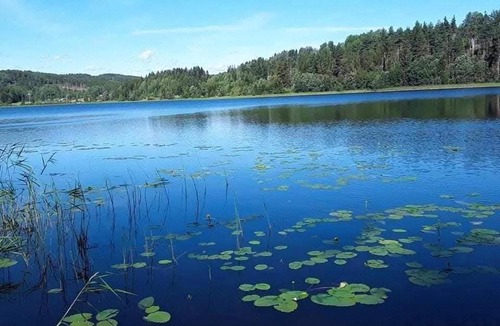 Vaja House | Lila Stuga -private jacuzzi &sauna,High Coast