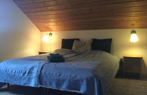 Froson Ski Chalet | Lilla Lilo Gården