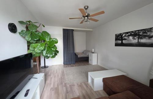 Savonlinna Apartment | Linnankatu Apartment
