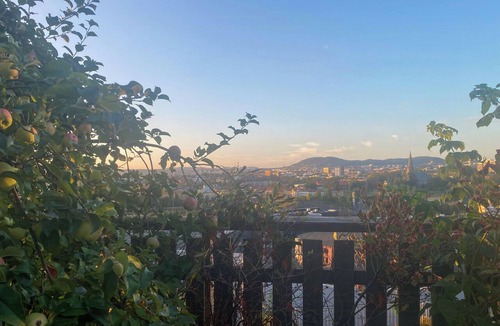 Gamle Oslo House | Listed terraced house with views over Oslo centre