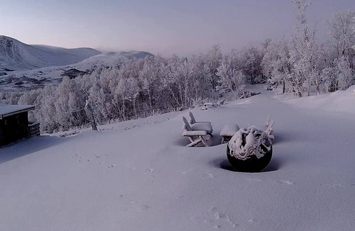 Dovre Cabin | Live in the realm of the musk oxen on Dovrefjell