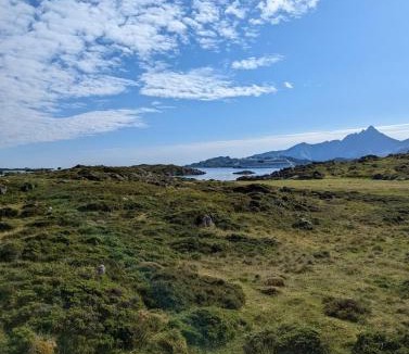 Leknes Apartment | Lofoten Apartment 02