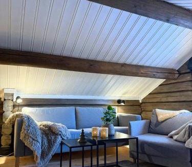 Mælem Apartment | Loft Apartment With Ski Access In Trysil