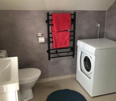 Insjon Apartment | Loftet