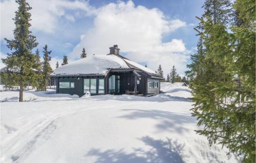 Sjusjoen House | Lovely Home In Sjusjøen With Sauna