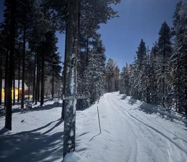 Inari Villa | Lumi Hill Lodge - Northern Lights