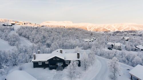 Hol Municipality House | Lun og koselig hytte på fjellet, med badstu