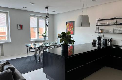 Kallio Apartment | Luxurious 85m2 Hakaniemi, Helsinki Center, Apartment Next to Metro