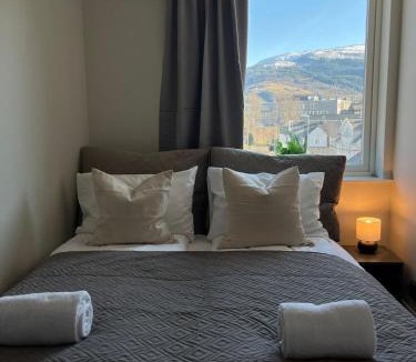 Voss Apartment | Luxury River View apt - Hotel Vibe - Heart of Voss