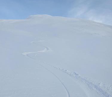 Balsfjord House | Lyngen Alps Cabin with Sauna, Northern Lights & Ski Touring, 1h from Tromsø