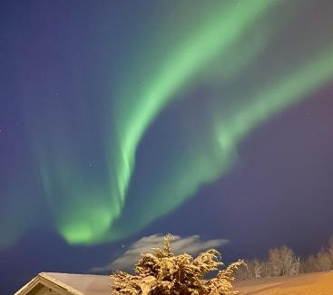 Balsfjord House | Lyngen Alps Cabin with Sauna, Northern Lights & Ski Touring, 1h from Tromsø