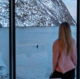 Koppangen Cabin | Lyngen Aurora Resort