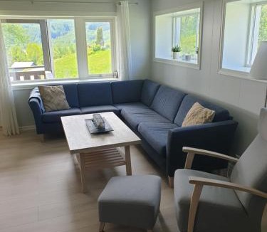 Myrkdalen Apartment | Mørkve Apartement