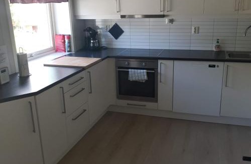 Myrkdalen Apartment | Mørkve Apartement
