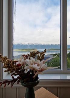 Lyngseidet Apartment | Main floor, Lyngen Alps, sauna included