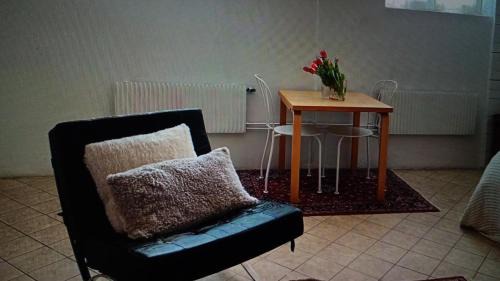 Bunkeflostrand Apartment | Malmo Spacious Villa - With Pool