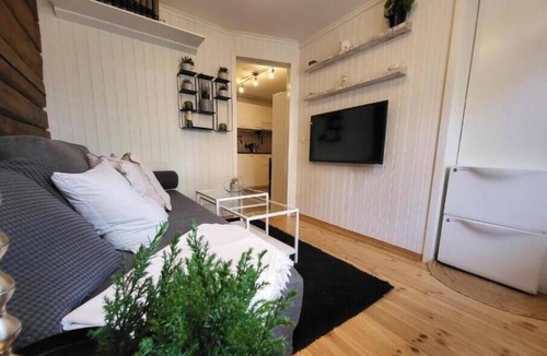 Trondheim City Centre Apartment | Mars and cozy apartment in the heart of Trondheim – Free parking included