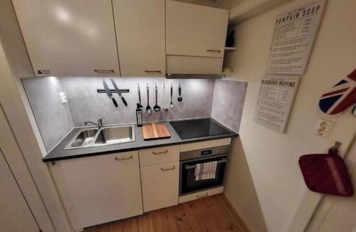 Trondheim City Centre Apartment | Mars and cozy apartment in the heart of Trondheim – Free parking included
