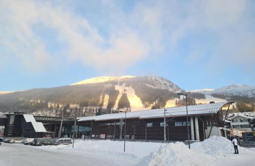 Ankarvattnet Villa | Mattmar vila
