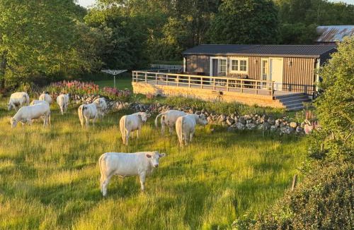 Varobacka House | Meadowview Cottage