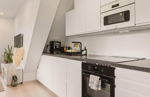 Engen Apartment | Memories From Norway l Penthouse 250m From City Center I Privat Balcony