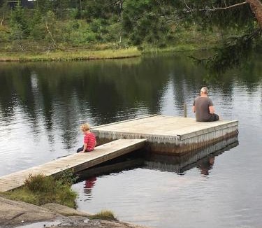 Lardal Municipality House | Middagslia - cabin at Skrim with amazing view