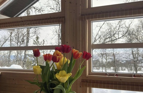 Al House | Modern Ål Cabin at the Foot of Reinskarvet