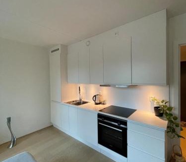 Tonsberg Apartment | Modern and Central Apartment