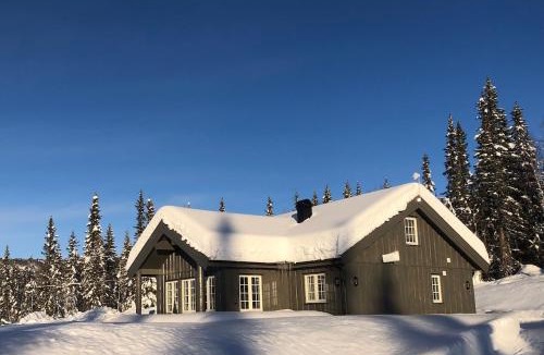 Oystre Slidre House | Modern and cozy cabin near ski slopes