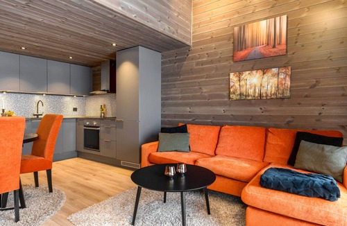 Gol Municipality Apartment | Modern apartment in Golsfjellet