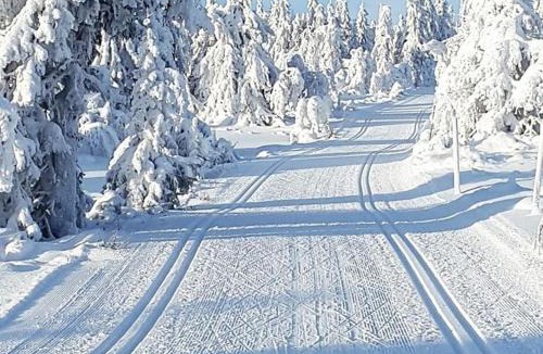 yer House | Modern cabin Hafjell high standard ski-in out