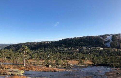 Gautefall House | Modern Cabin With A Natural Plot At Gautefall