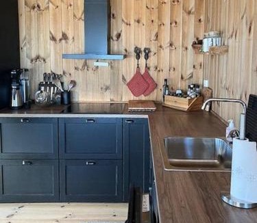Gautefall House | Modern Cabin With A Natural Plot At Gautefall