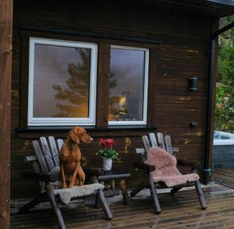 Hjartdal Municipality House | Modern Cabin With Gaustatoppen Views Near Oslo
